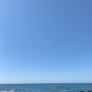 Meet your Posher, Boo